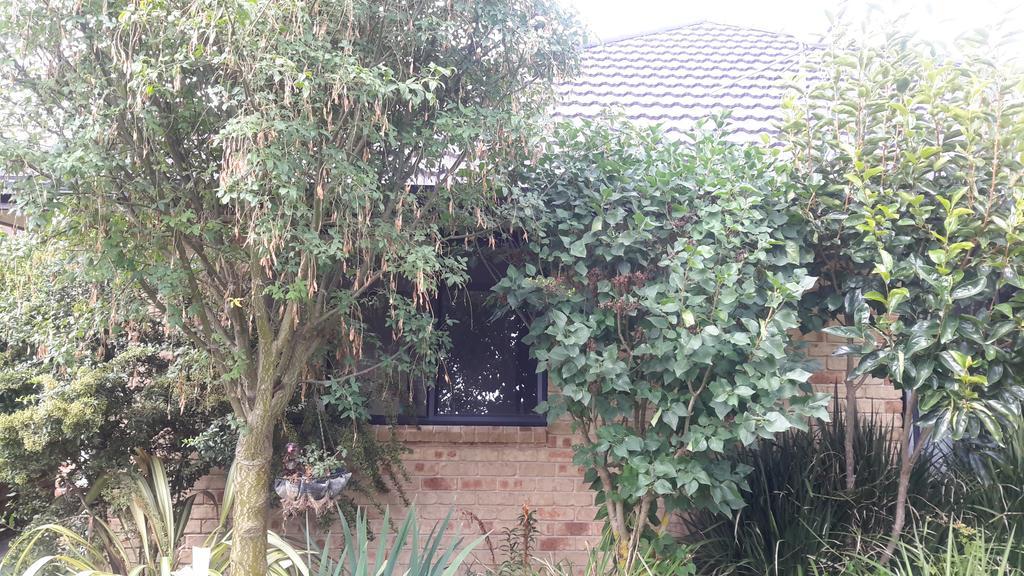 Jade Bed & Breakfast Blenheim Luaran gambar
